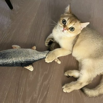 pkpkpkpk65's profile picture. 