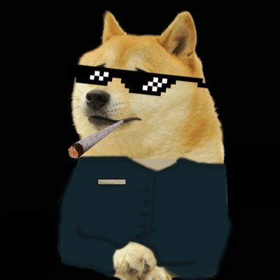TheDogePlanet's profile picture. 