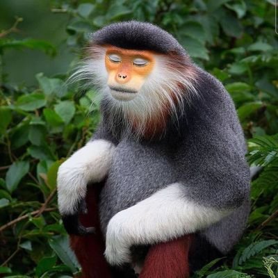 SutejaSani's profile picture. Carpe Diem #Metatime