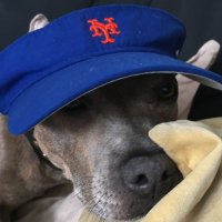 Andrew Beasley (@basetunedtomet) 's Twitter Profile