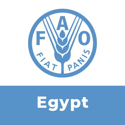 Representation of the Food and Agriculture Organization of the United Nations (@FAO) in Egypt. Follow our Director-General QU Dongyu, @FAODG.