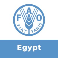 FAO in Egypt(@FAOEgypt) 's Twitter Profile Photo