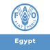 FAO in Egypt (@faoegypt) Twitter profile photo FAO in Egypt (@faoegypt) Twitter profile photo