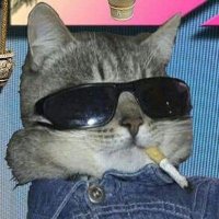 custavo (@taziamarrado) 's Twitter Profile