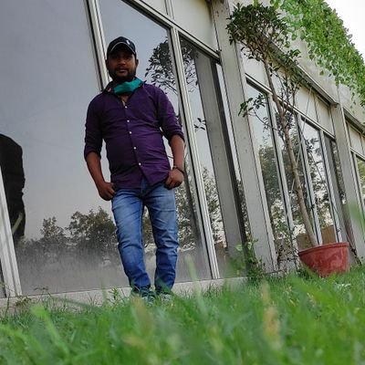 DevBera15's profile picture. 