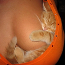 Fran Hayes - @sweetseductress - Twitter