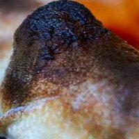 BurntCrusts.uk (@crustsburnt) 's Twitter Profile