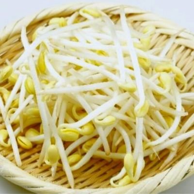 もやし💯さんのプロフィール画像