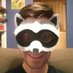 Raccoon at home (@Seebo429) Twitter profile photo