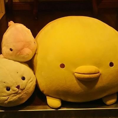 かいさんのプロフィール画像