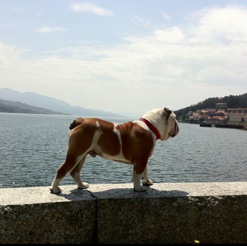 lu_goye's profile picture. 