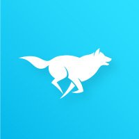 Husky Pool (@huskypool) 's Twitter Profile