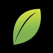 BasilLabsAI's profile picture. Using AI to deliver optimized data insights organizations trust, in a way consumers trust.