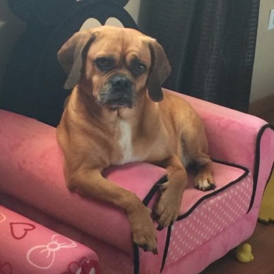 JasoWil23's profile picture. 