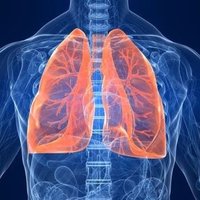 UHS Respiratory Physiotherapists (WSHT legacy) (@respiratorywsht) 's Twitter Profile Photo UHS Respiratory Physiotherapists (WSHT legacy) (@respiratorywsht) 's Twitter Profile Photo