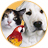 abandonedpets's profile picture. 