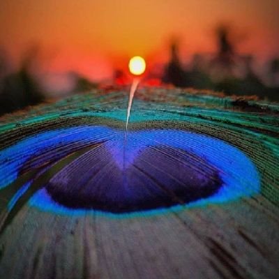 VitthalKatare7's profile picture. ✍️इच्छा मर्यादित असतील तर 
स्वाभिमान विकायची गरज नाय पडत...🖤