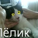 Manuel Peñas Callado - @vauncaracol88 - Twitter