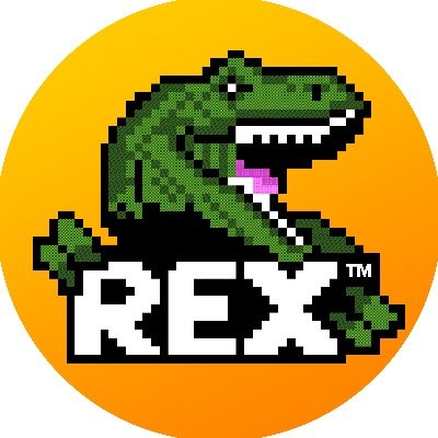 REX is an Android Vulnerability Scanner made by @DI_Security. REX isn't an acronym, we just really like dinosaurs.