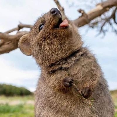 connyrants's profile picture. halo world 🌍 please be kind and love each other. thank you! ❤️