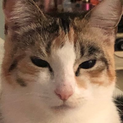 Caliさんのプロフィール画像