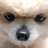 mocomocoinu's profile image
