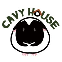 CAVYHOUSE@こふんは生きている発売決定！ (@cavyhouse) Twitter profile photo