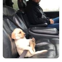nicu (@nicotanicu) 's Twitter Profile