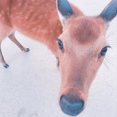 いかさんのプロフィール画像
