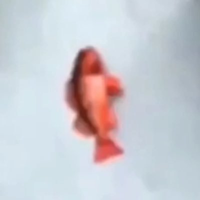 randonmemeguy's profile picture. water is cool