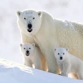 SunnyHe13's profile picture. 