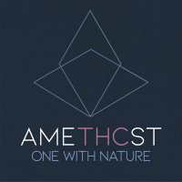amethcst(@amethcst) 's Twitter Profile Photo