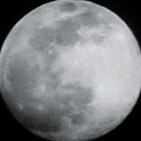 꿈지럭 그로신계🏛 (@blueyeon_g) 's Twitter Profile