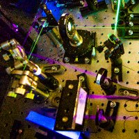 Ogilvie Lab (@ogilvielab) 's Twitter Profile