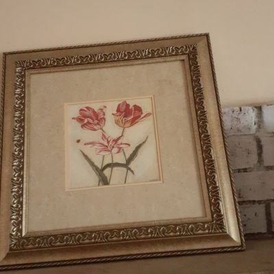 sawyer12344's profile picture. 