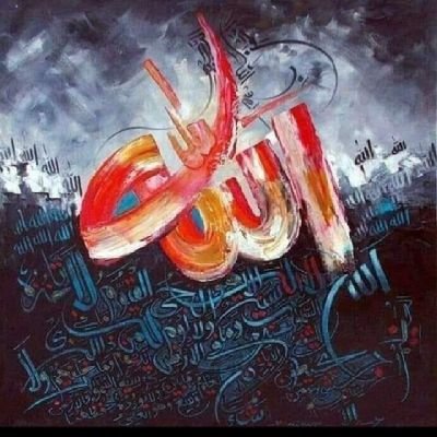 shahidniaz1's profile picture. 