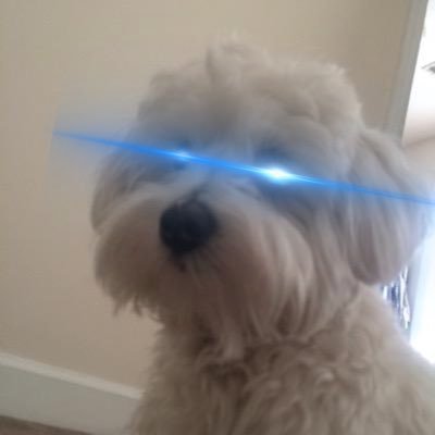 GMcCulloh's profile picture. #bitcoin