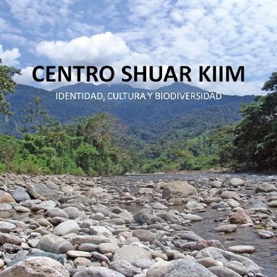 Cuenta oficial del Centro Shuar Kiim, La Paz, Yacuambi, Zamora Chinchipe. Reconocida el 28 de julio de 1976. Entidad colectiva historica de raíces ancestrales.