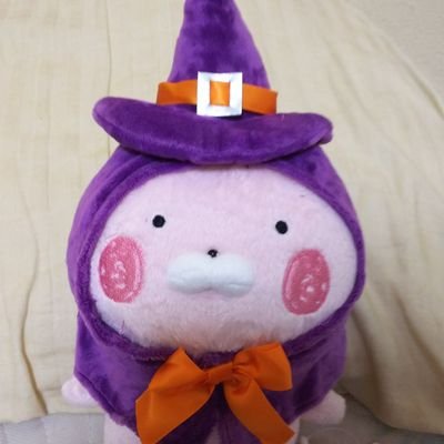 わたぬさんのプロフィール画像