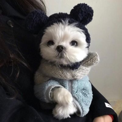 icecewb's profile picture. 💖💅🧚🏻 nerd shit, makeup, ADHD content, and cryptids ✌️