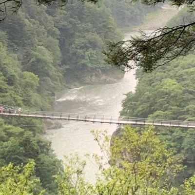 FXgold55's profile picture. ゴールドで取引して頑張っていきたい 車が欲しいんじゃああああああ