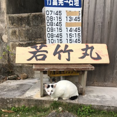 八重山観光フェリー竹富代理店に間借りしてお店してます。商品は切手類、文房具。冷たいドリンク🍹/ 土日祝日は小包引受📦/ 乗船券⛴ / ⚽️FC琉球ゆるサポ / マンガ小説好き/ コンテンツについての呟き/ FBはゆっくり&控えめです🙇‍♂️🙇‍♀️