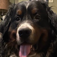 j carrie launius (@janetcarrie) 's Twitter Profile