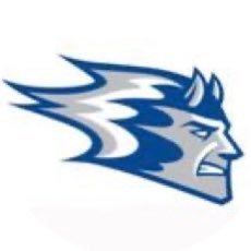 BaseballHaldane's profile picture. ⚾️Haldane Varsity Baseball⚾️       Section 1, Class C / Go Blue Devils🔱
