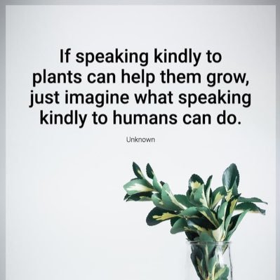 Toni57021934's profile picture. Inclusion Lead/Play therapist