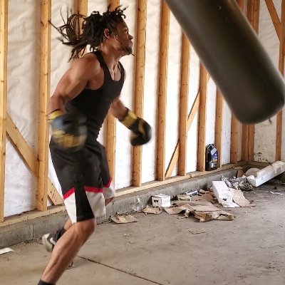 RisenPhoenix11's profile picture. 