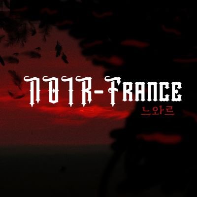 NOIR-느와르 ▪︎ Franceさんのプロフィール画像