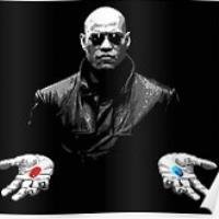 Trding2's profile picture. 