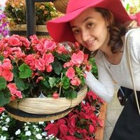 Jeffrey Ivery ❤️ Memecoin (@iveryjeffrey) 's Twitter Profile