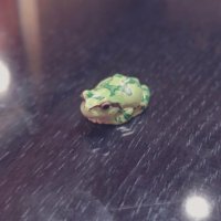 ๐พ๐๐๐๐๐ป.๐๐๐บ (@8root5) 's Twitter Profile